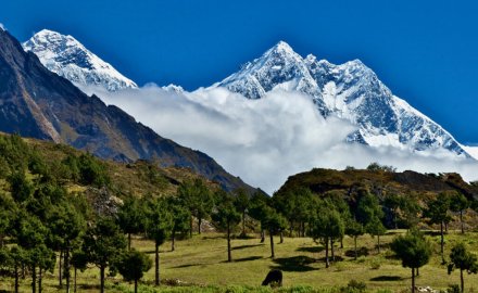 Everest View