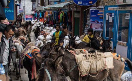 Daily Life Namche Bazar