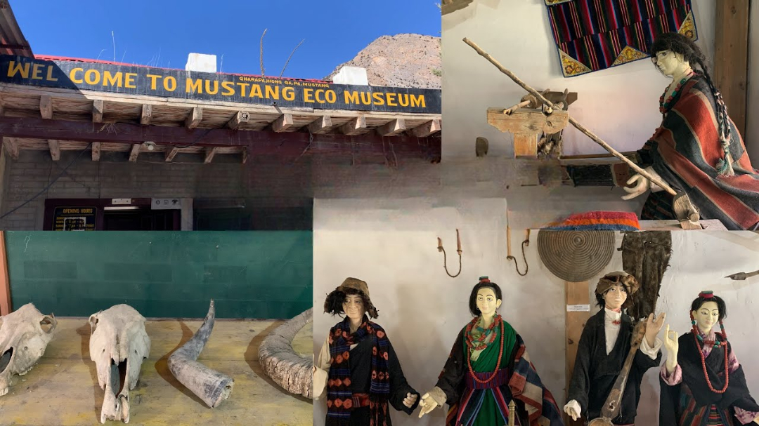 Mustang Eco Museum, Jomsom: Complete Travel & Cultural Guide