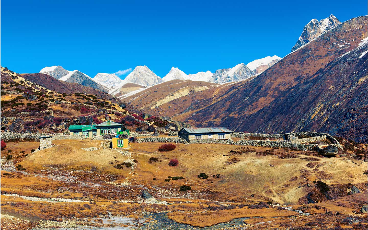 Renjo La Pass, Nepal: Complete Travel & Trekking Guide
