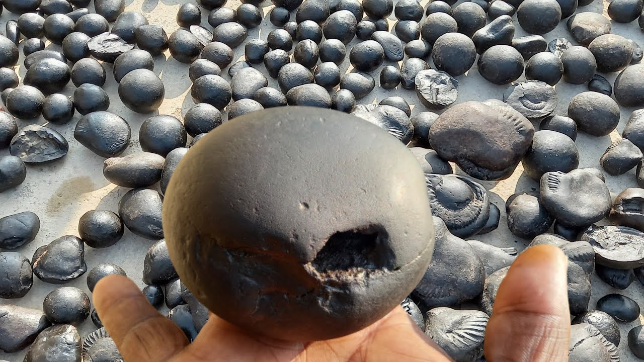 Saligrams In Nepal: Sacred Stones, Meaning & Himalayan Heritage