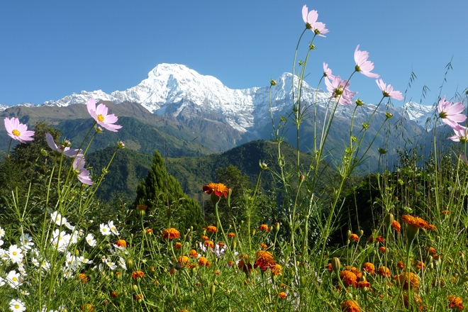Why Trek In Spring In Nepal? March–may Trekking Guide