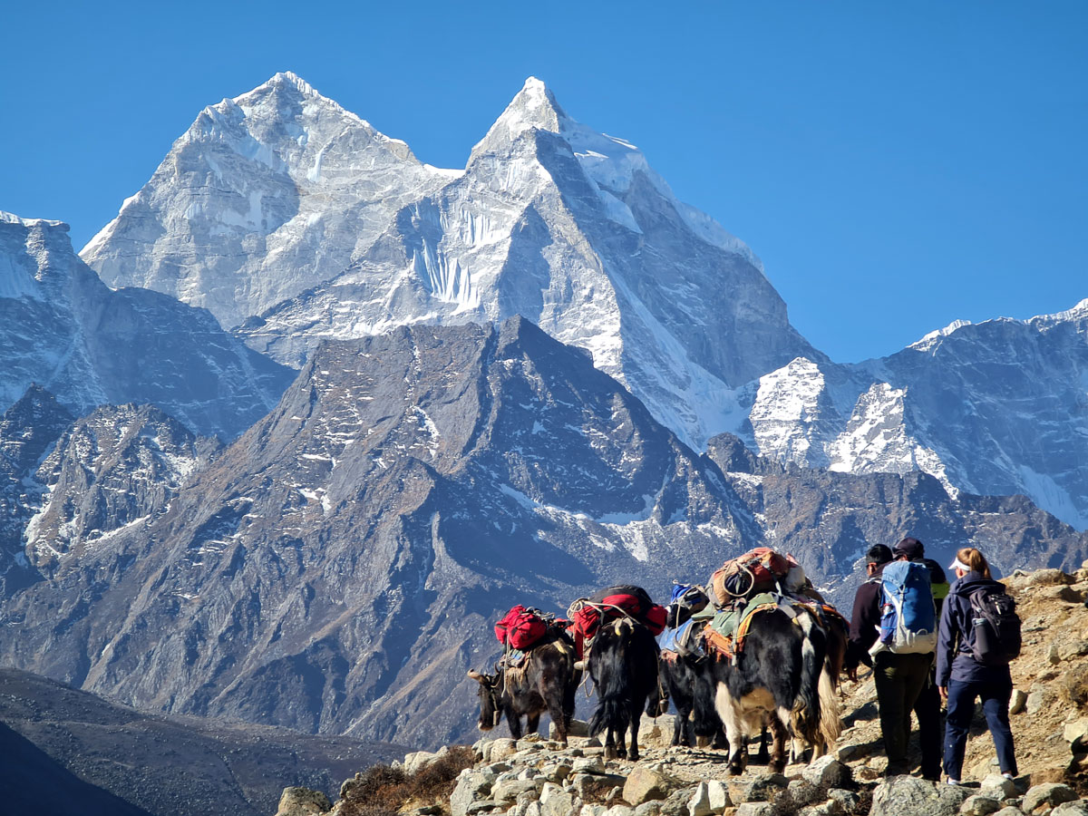 everest region treks